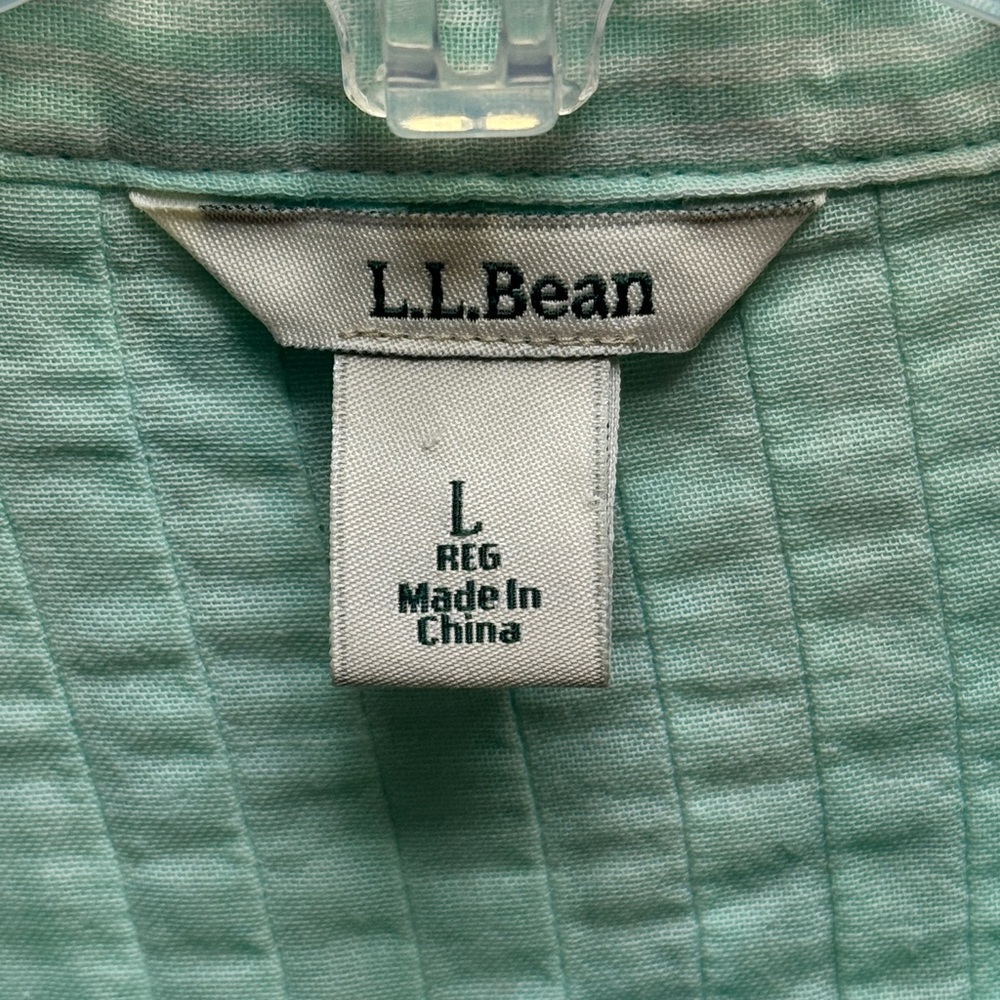 L.L. Bean Women's Mint Green striped Pleated Front Long Sleeve Blouse Size Large - Picture 4 of 7
